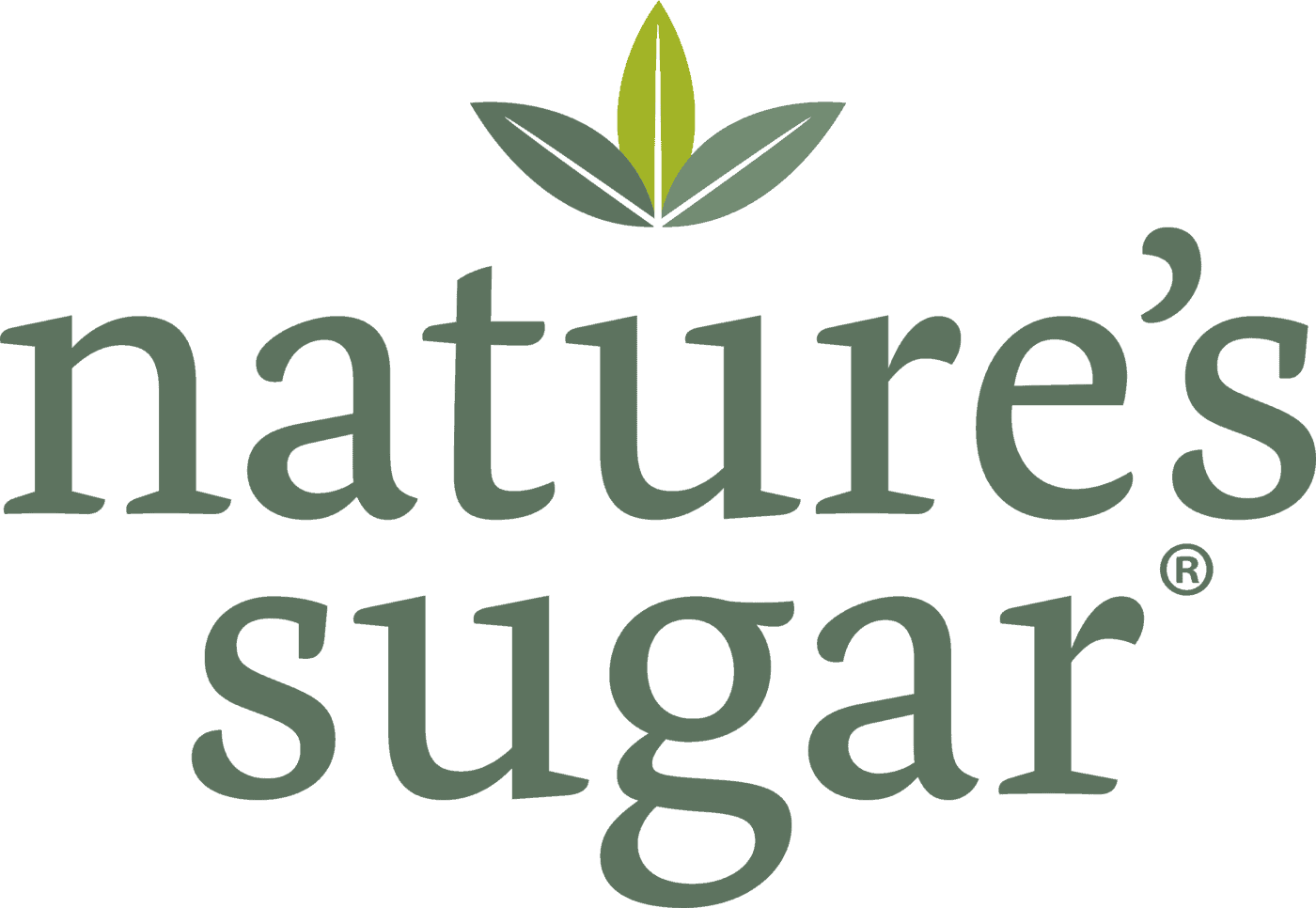 Natures Sugar Wax